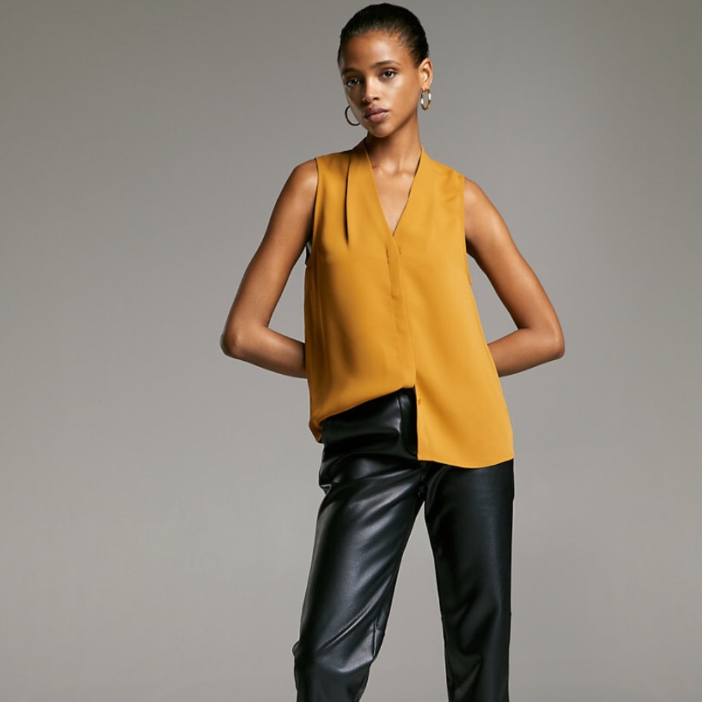Aritzia Babaton Sleeveless Blouse